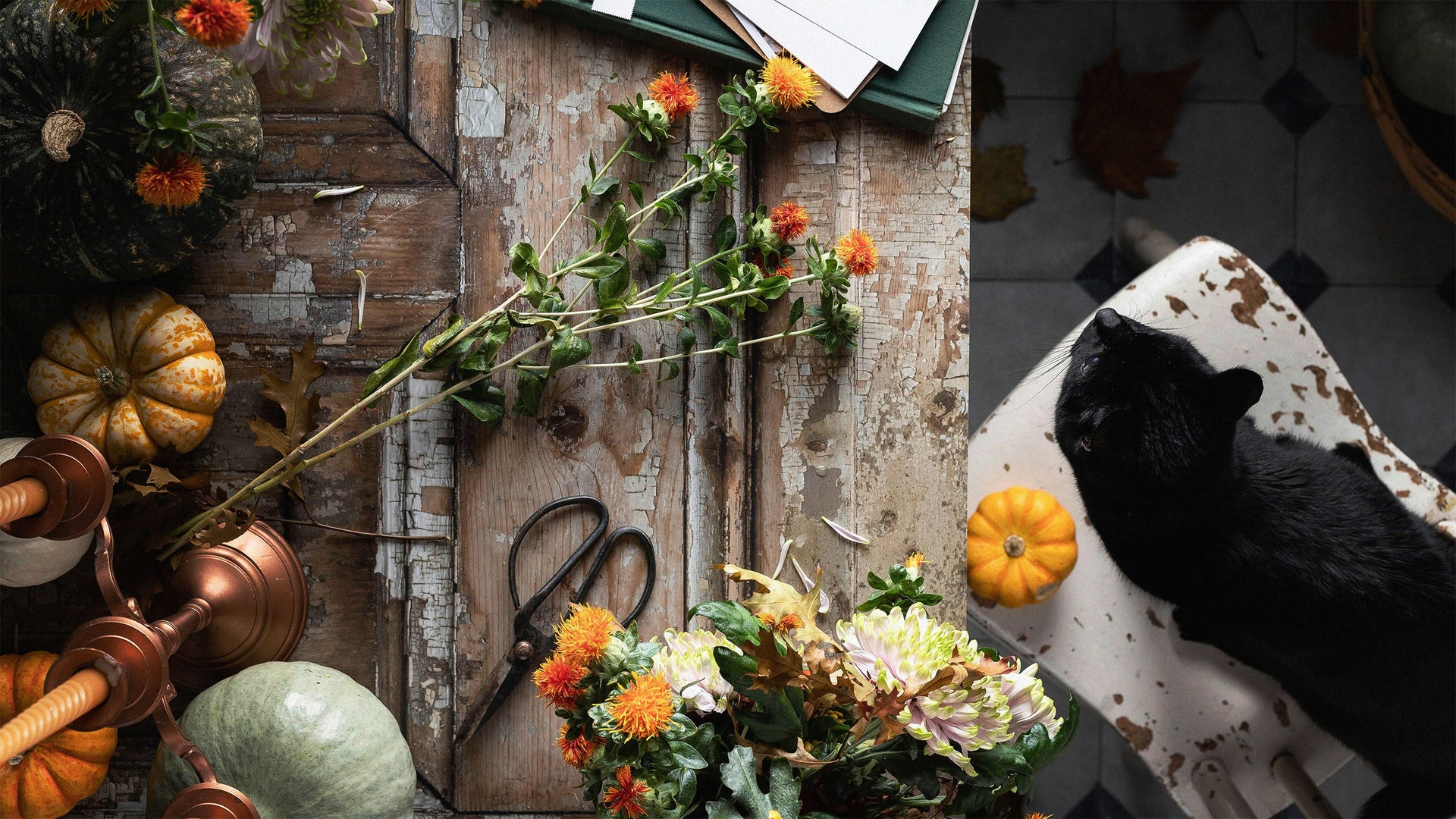 The Autumn Edit