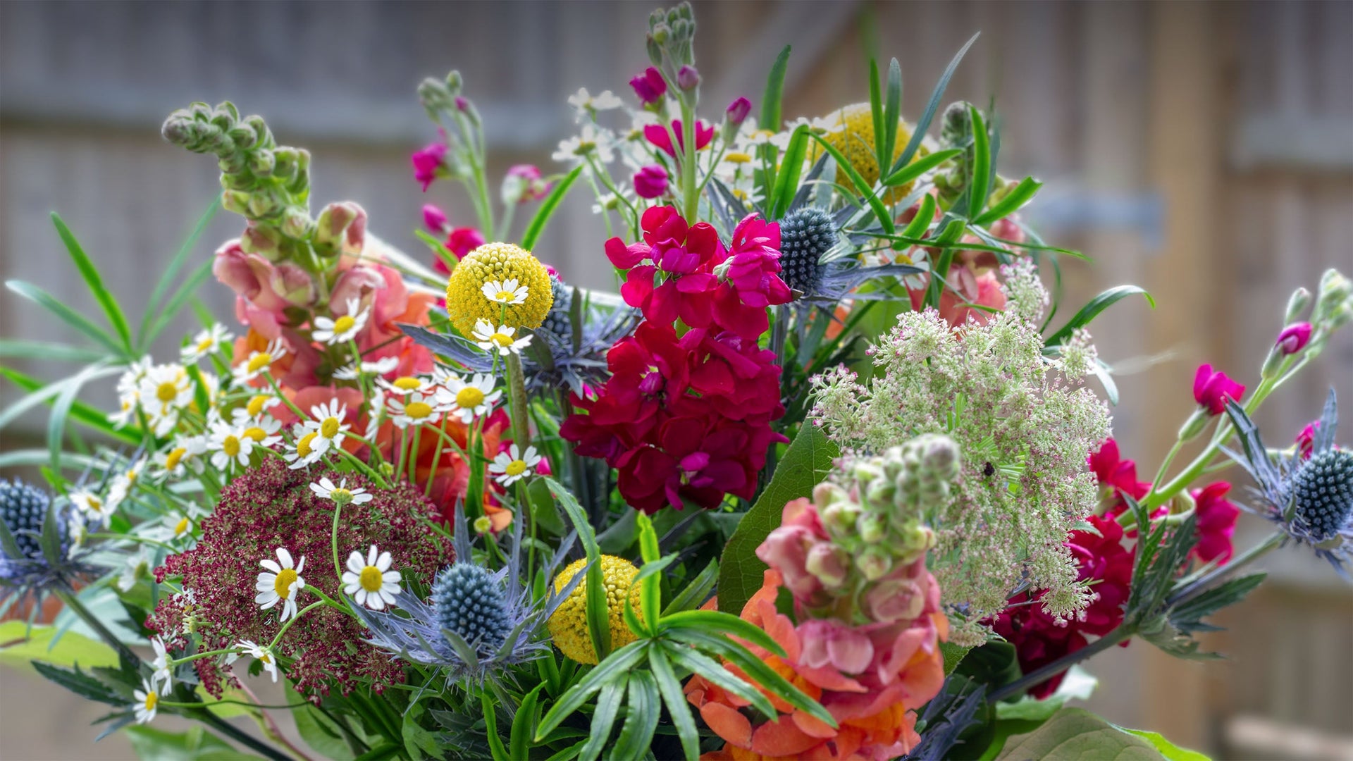 Spring Flowers