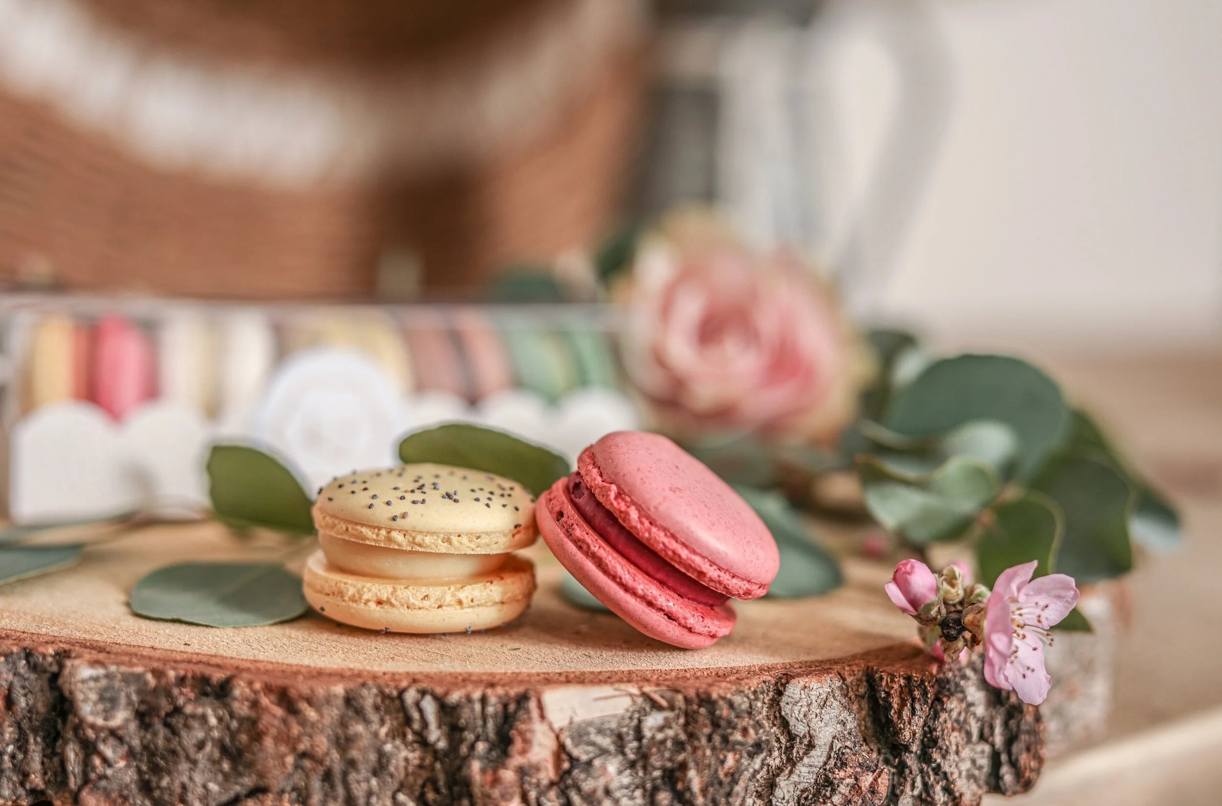 Harwoods Patisserie Macaron Box - Add To Flower delivery