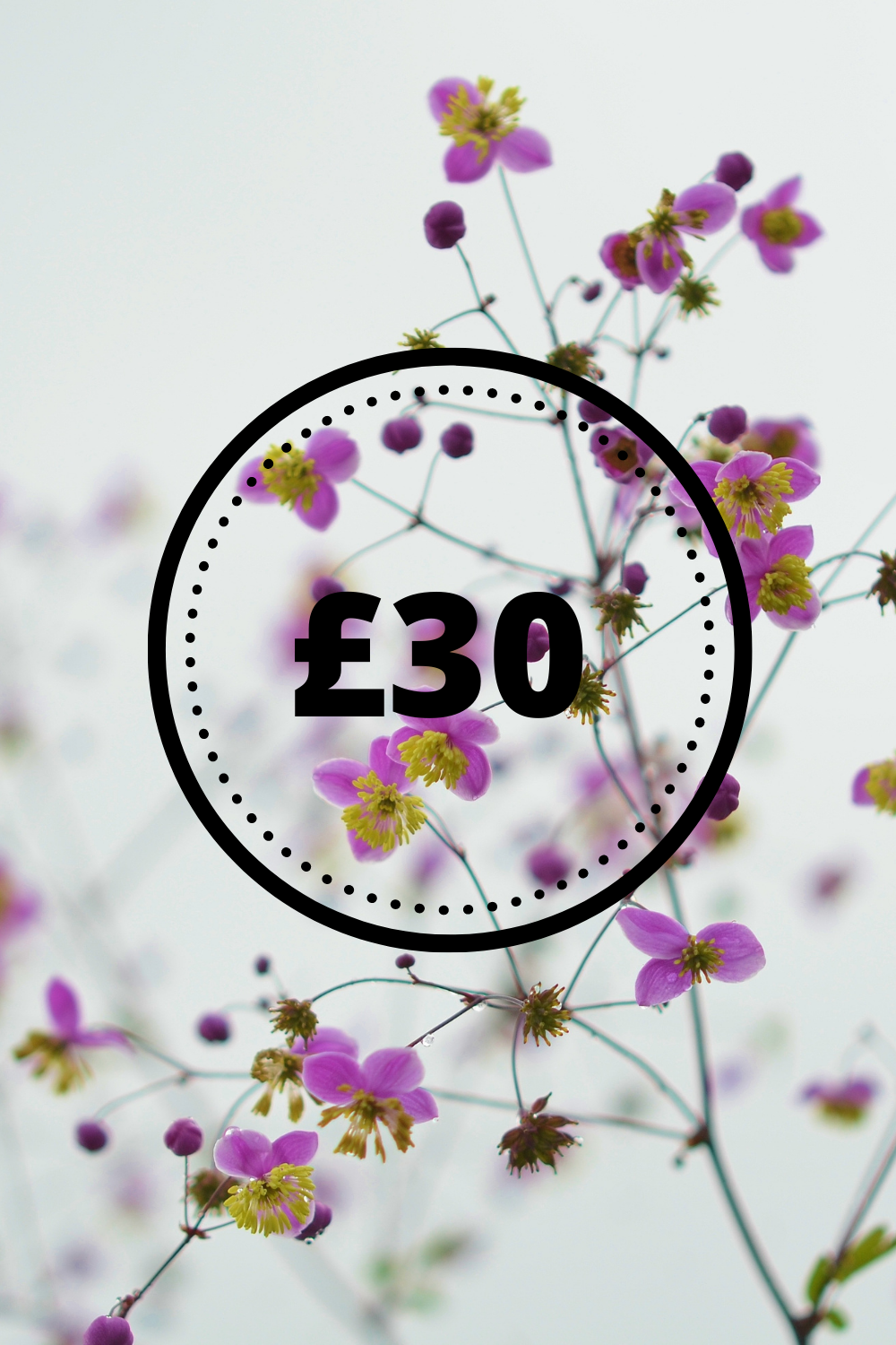 The Seasons in Flowers - Quarterly Flower Subscription