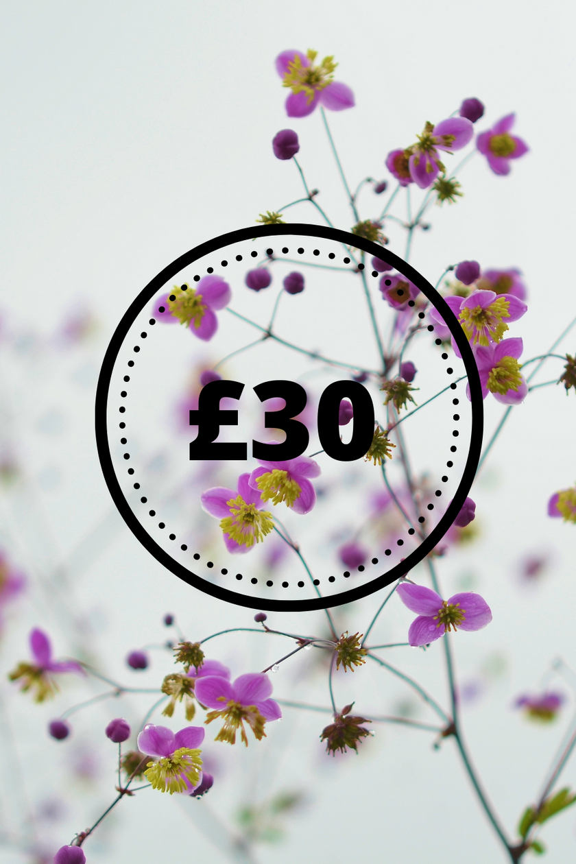 The Seasons in Flowers - Quarterly Flower Subscription