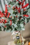 Feeling Festive - Ilex red holly berries and Fresh foliage