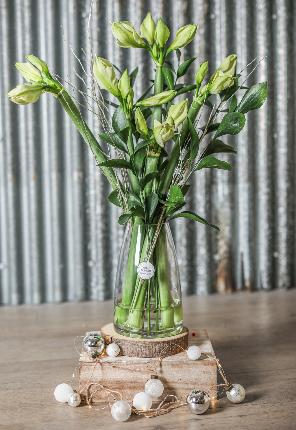 Christmas Amaryllis and Foliage