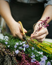 Autumn Wreath Making Workshops