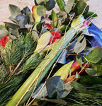 Christmas Amaryllis and Foliage
