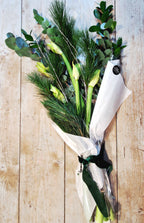 Christmas Amaryllis and Foliage