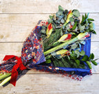 Christmas Amaryllis and Foliage